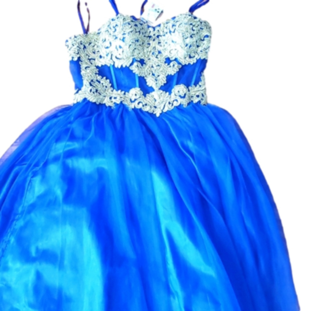 Blondie Nites  ball gown style maxi dress accepting offers! Negotiable